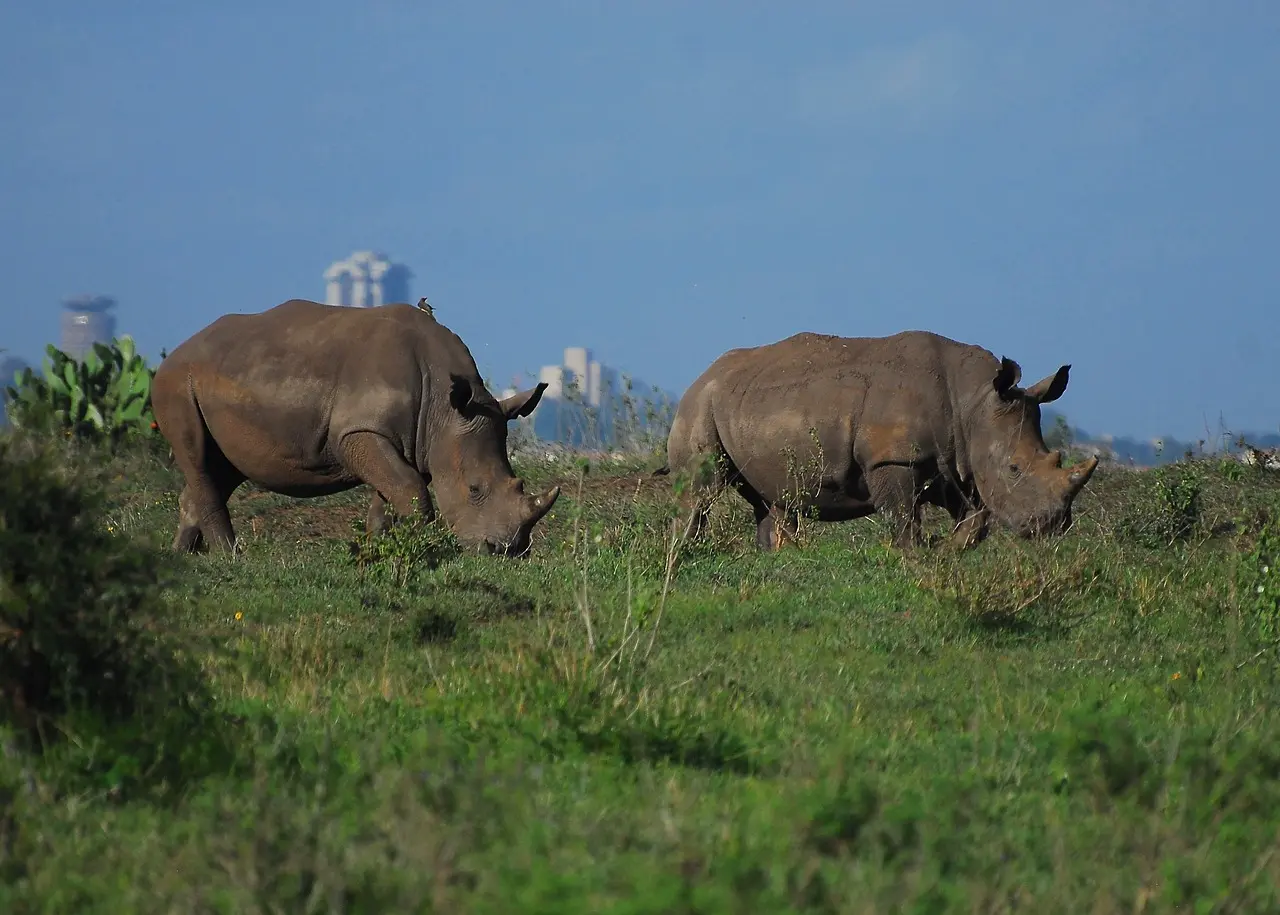 Nairobi, Kenya